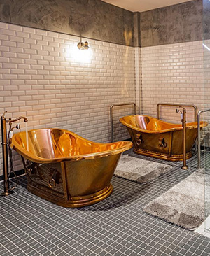 Bathing area with shower and 2 bath tubs