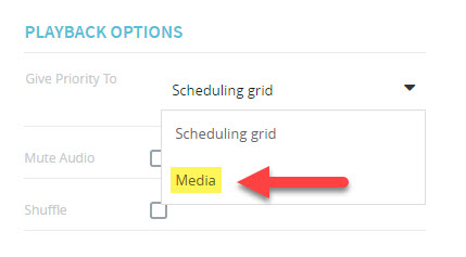 Playback Media Options