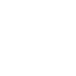 Report Vulnerability