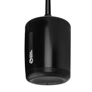 Picture for category Pendant Mount Speakers