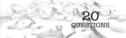 20 Questions - 4th Edition