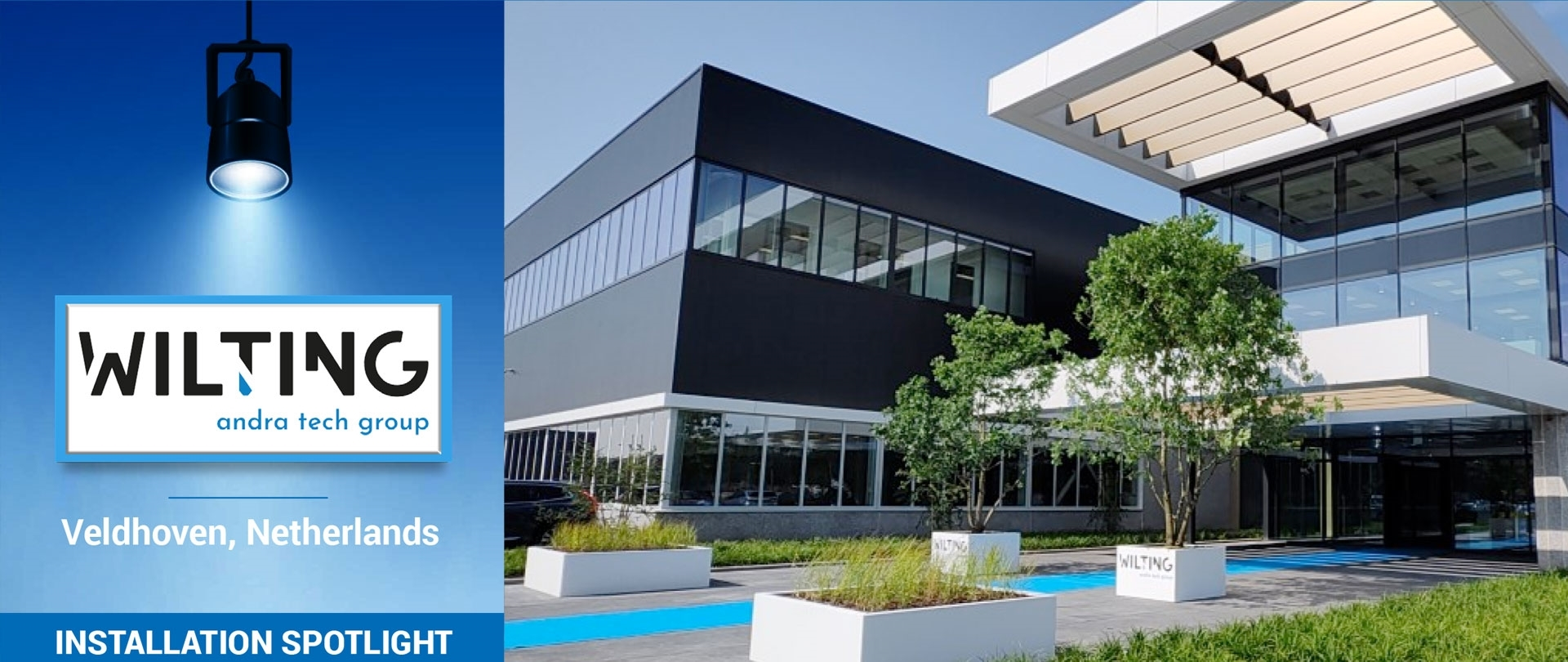 Picture of Wilting Spotlight